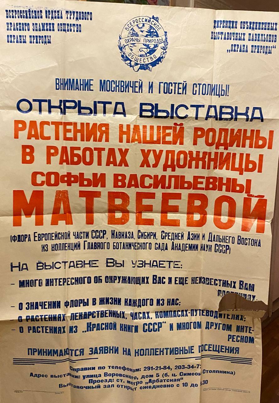 Афиша персональной выставки «Растения нашей Родины» в здании церкви Симеона Столпника на Поварской улице, Москва - 1980
